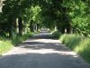 Dateiname : Allee_von_Ostpr.jpg
Dateigröße : 234KB
Abmessungen : 1024x768
hinzugefügt am : 29.Juni 2008 Allee_von_Ostpr.jpg